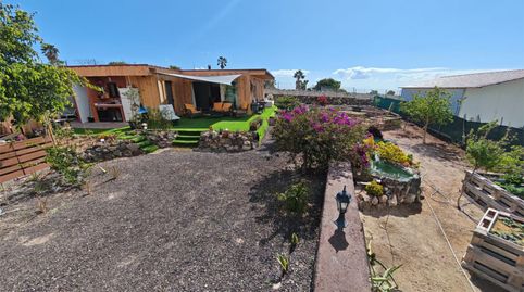 Foto 2 de Finca rústica de alquiler en Calle C. Cam. la Hoya, 18, San Miguel de Abona, Santa Cruz de Tenerife