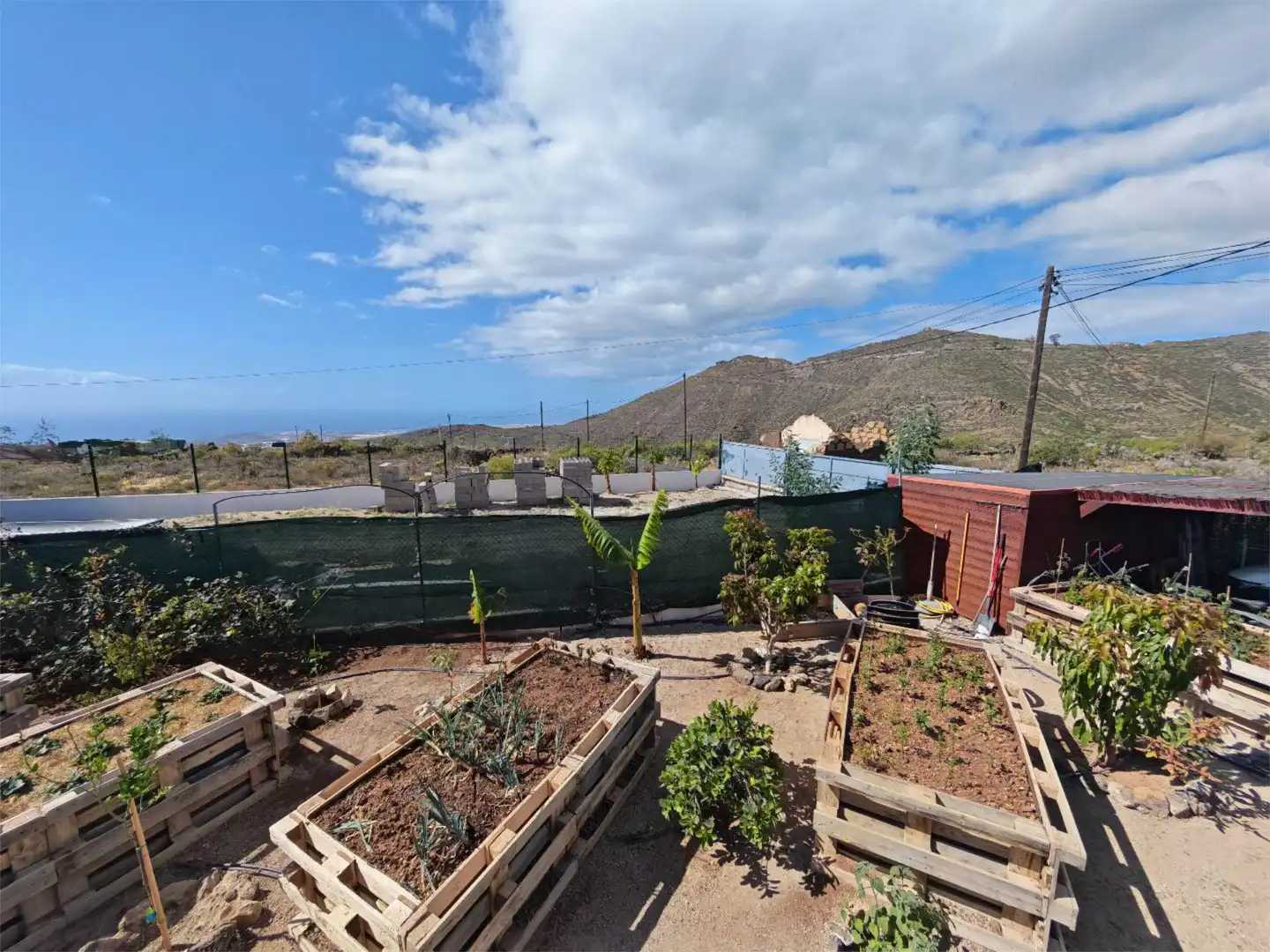 Finca rústica de alquiler en C. Cam. la Hoya, 18, San Miguel de Abona Finca rústica de alquiler en C. Cam. la Hoya, 18, San Miguel de Abona