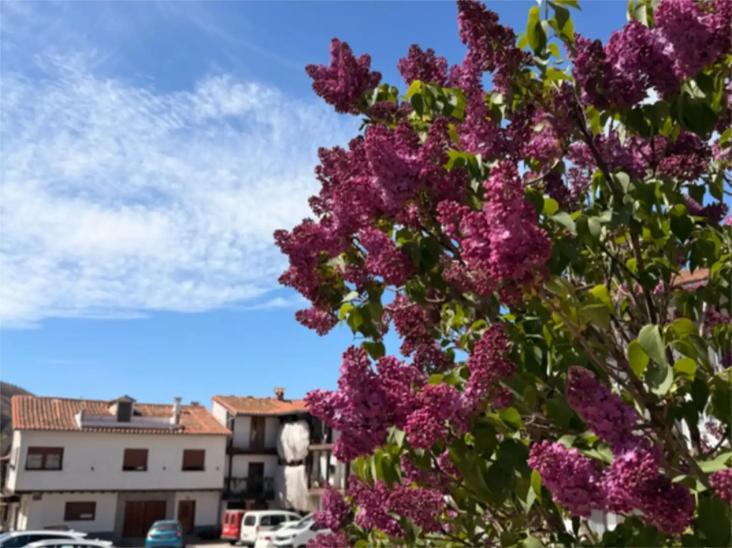 Flat for rent in Calle de Santiago, 28, Montemayor del Río