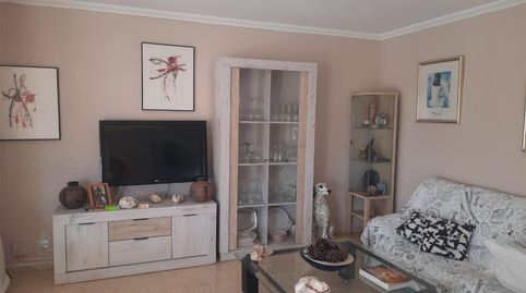 Foto 3 de Habitación en Carrer de Les Finestres Verdes, 23, Foners, Palma de Mallorca