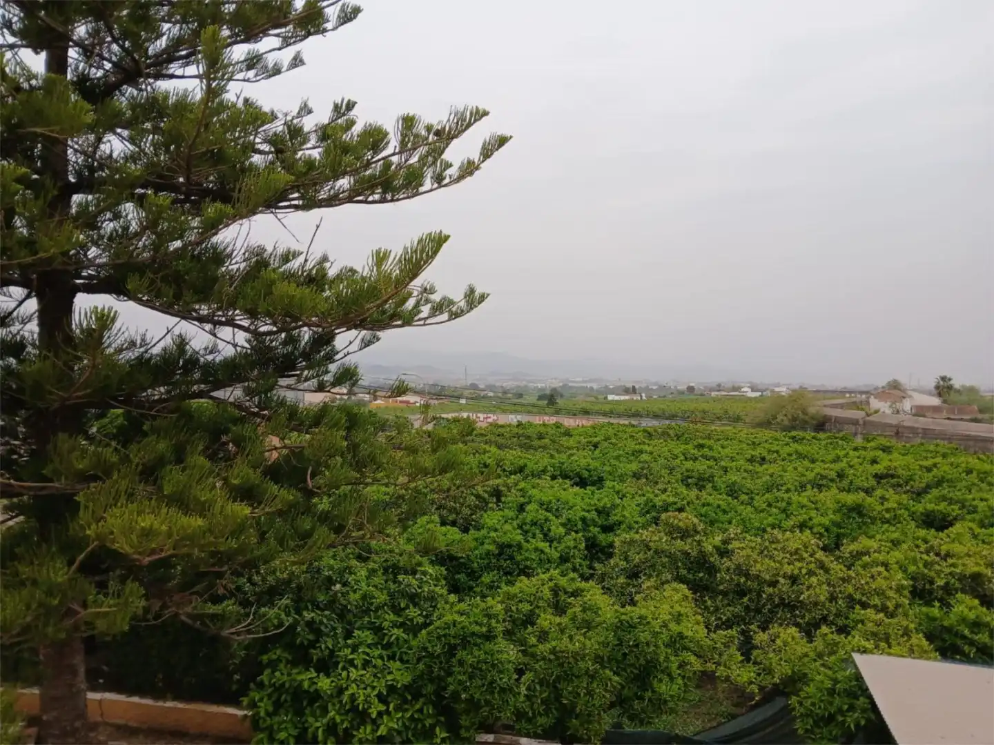 Apartments for rent in Alhaurín de la Torre  with Private garden, Terrace and Swimming Pool