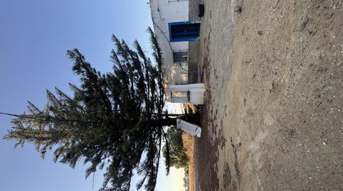 Foto 3 de Casa o chalet en venta en Pago Barrio Nuevo, 170, Barrio Nuevo, Conil de la Frontera