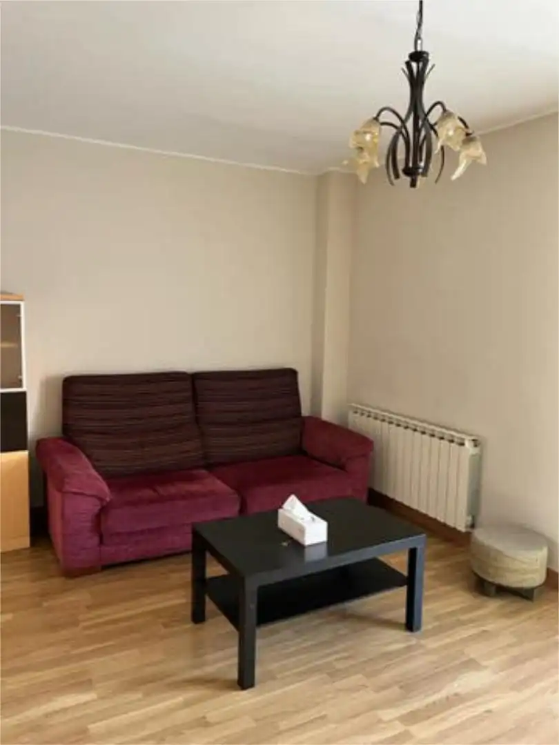 Sala de estar de Piso de alquiler en  Zaragoza Capital