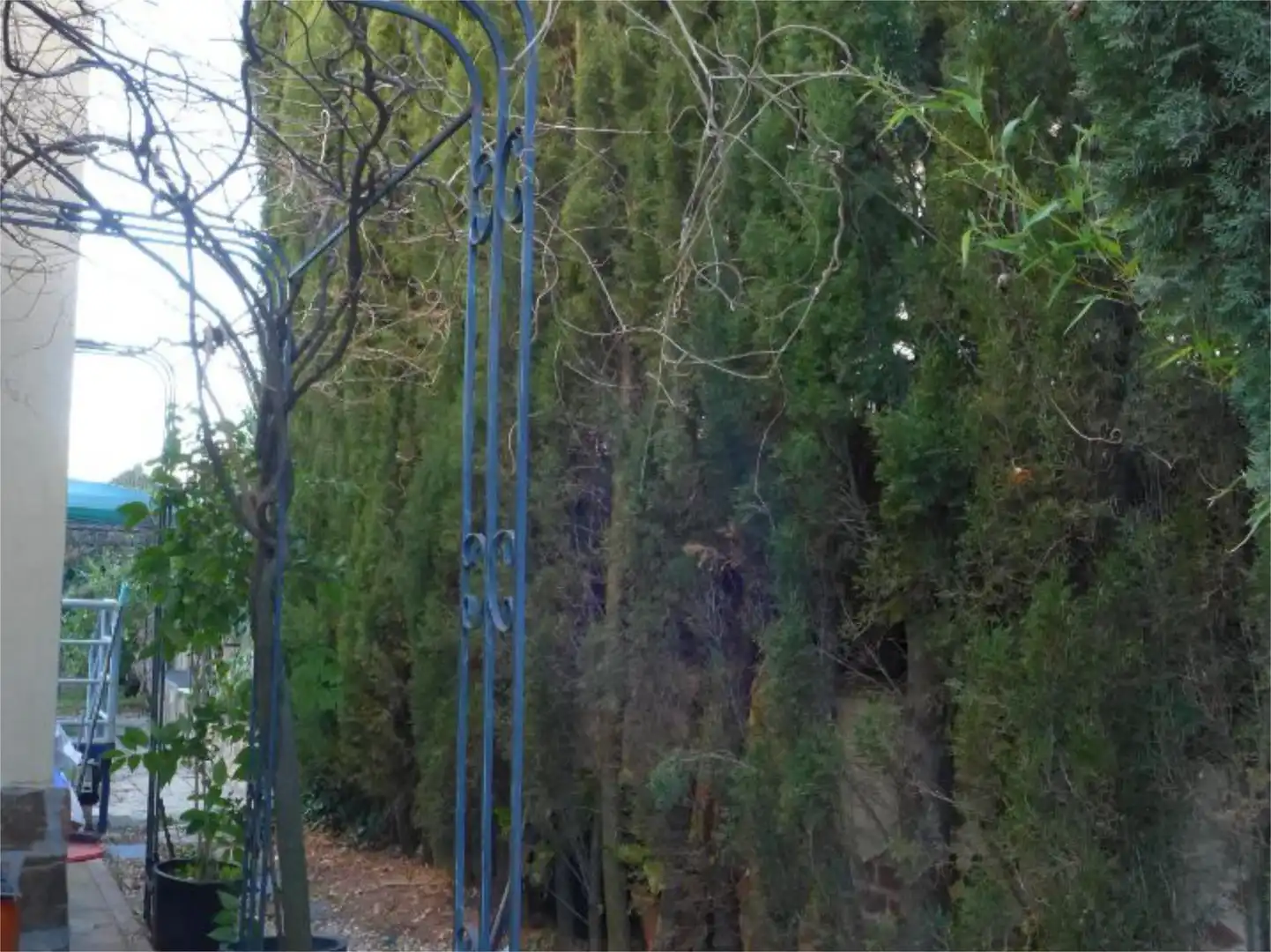 Casa o chalet en venta en Calle Buenos Aires, 7, Torrelaguna Jardín de Casa o chalet en venta en Torrelaguna con Calefacción, Jardín privado y Terraza