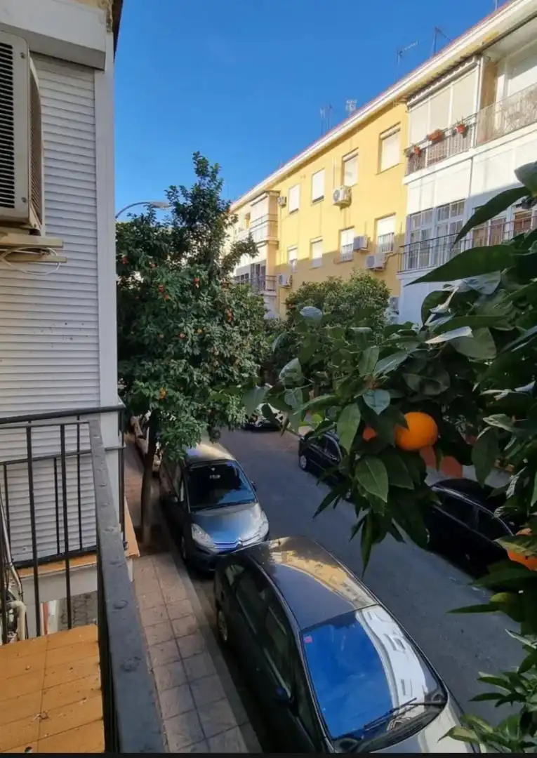 Vista exterior de Pis de lloguer en  Sevilla Capital amb Aire condicionat, Terrassa i Moblat
