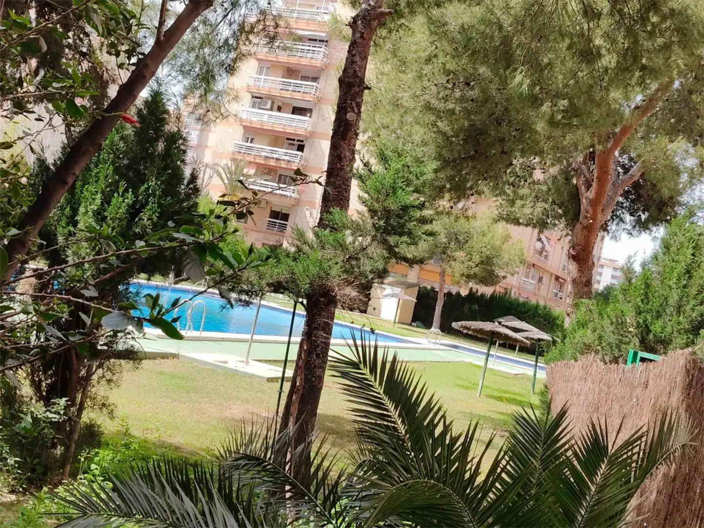 Wohnung zum Verkauf in Calle Pascual Orozco, 7, Alipark Schwimmbecken von Wohnung zum Verkauf in Alicante / Alacant mit Schwimmbad