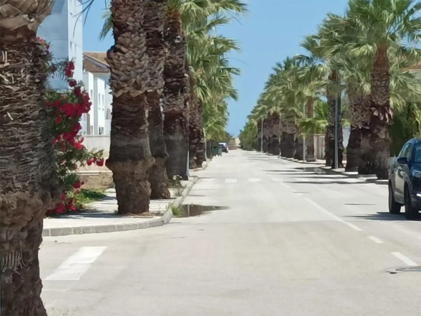 Piso de alquiler en Carrer de Beniflà, 3, Oliva Playa Vista exterior de Piso de alquiler en Oliva con Aire acondicionado, Calefacción y Jardín privado