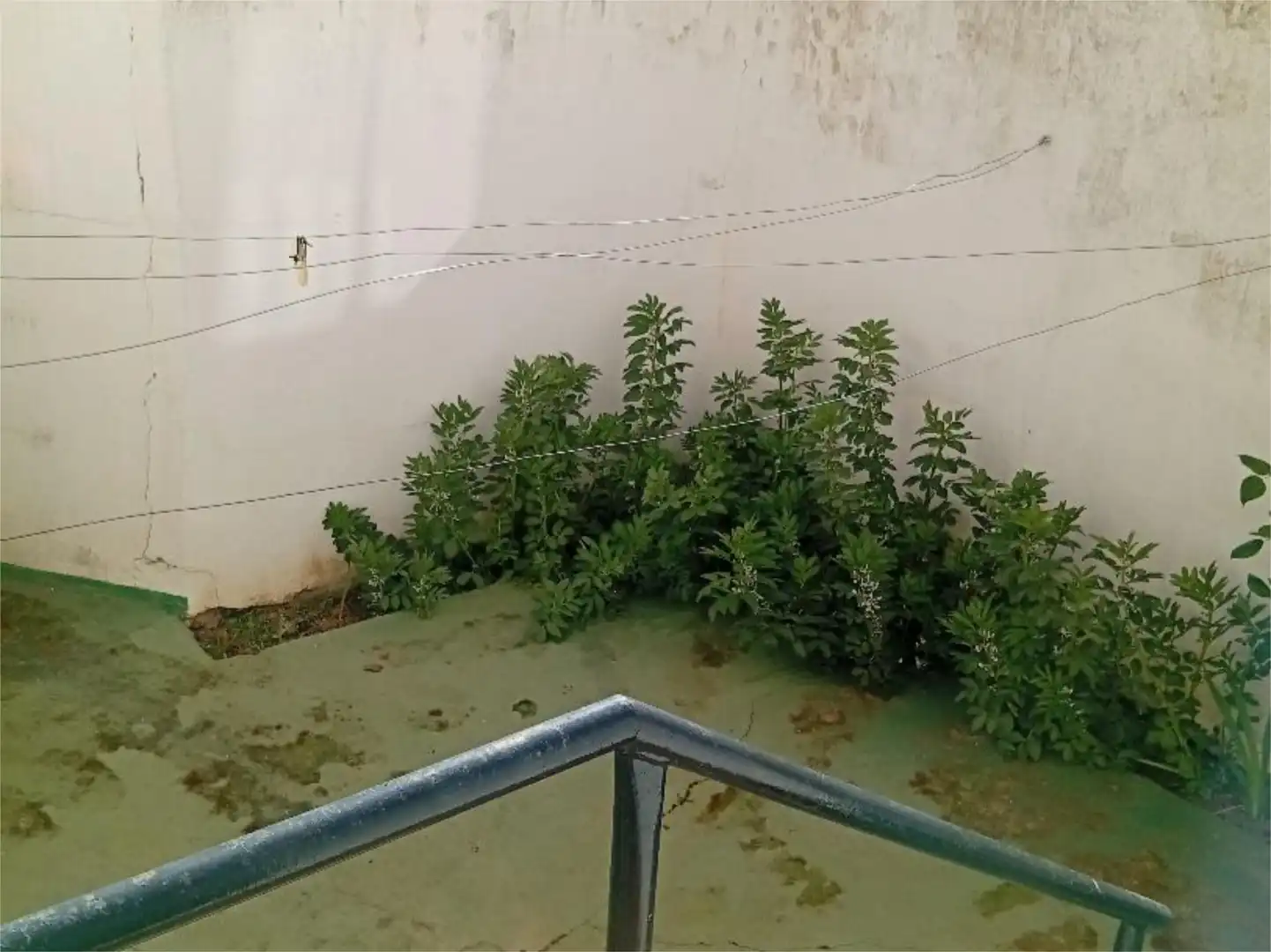 Flat for sale in Azuaga