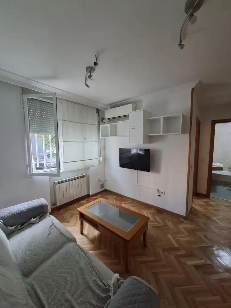 Sala d'estar de Pis de lloguer en  Madrid Capital amb Aire condicionat