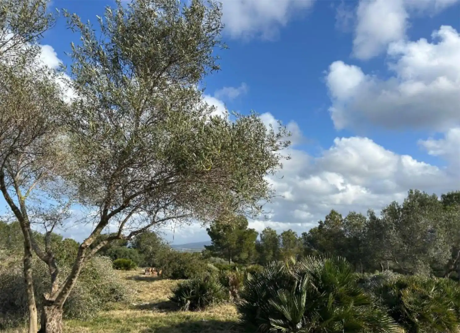 Residencial en venta en Carrer del Cerç, 164, Closa de Vinaròs - Ermita Residencial en venta en Vinaròs
