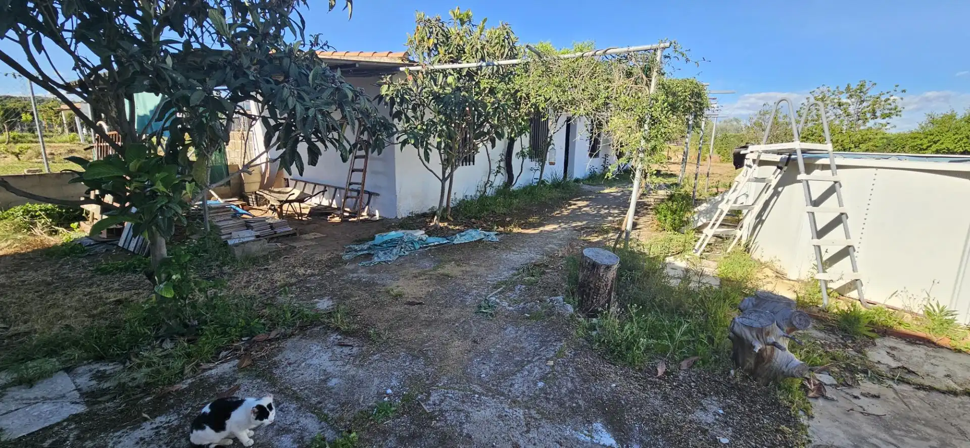 Country house zum Verkauf in Camino Mejorada, Km. 1, Tres Olivos - La Piedad Country house zum Verkauf in Talavera de la Reina mit Schwimmbad