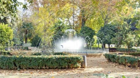 Foto 2 de Piso de alquiler en Paseo de Los Basilios, 6, Cervantes, Granada Capital