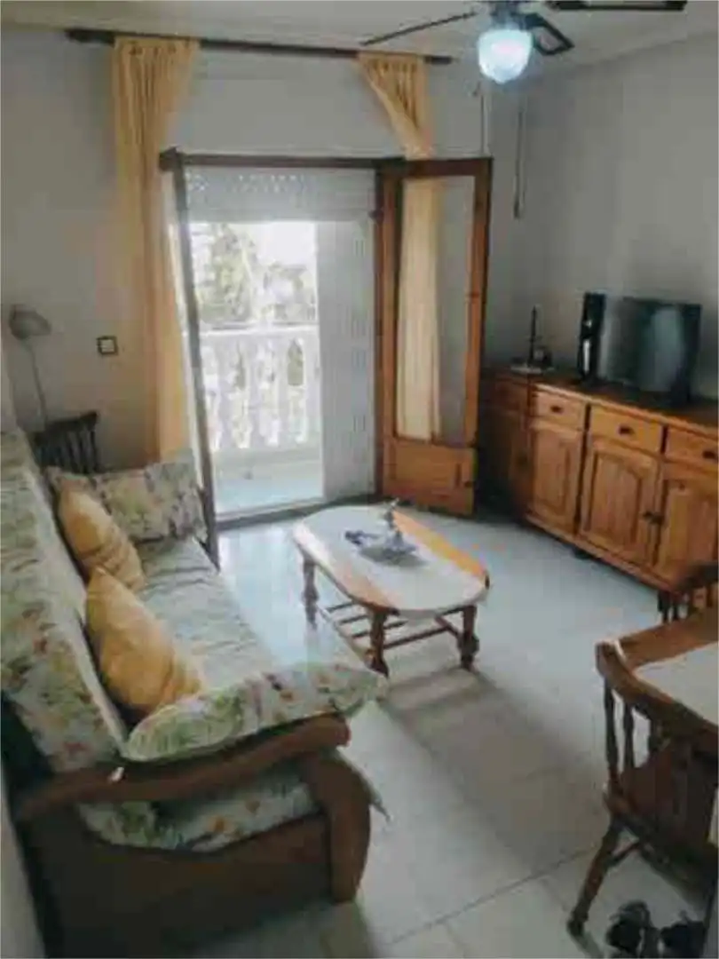 Living room of Apartments for rent in Torrevieja  with Terrace and Furnished