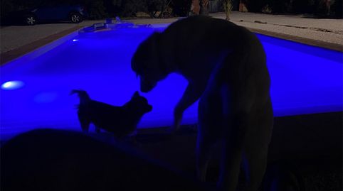 Foto 3 de Piso en venta en Avenida de Andalucia, 15, Cañada Rosal, Sevilla