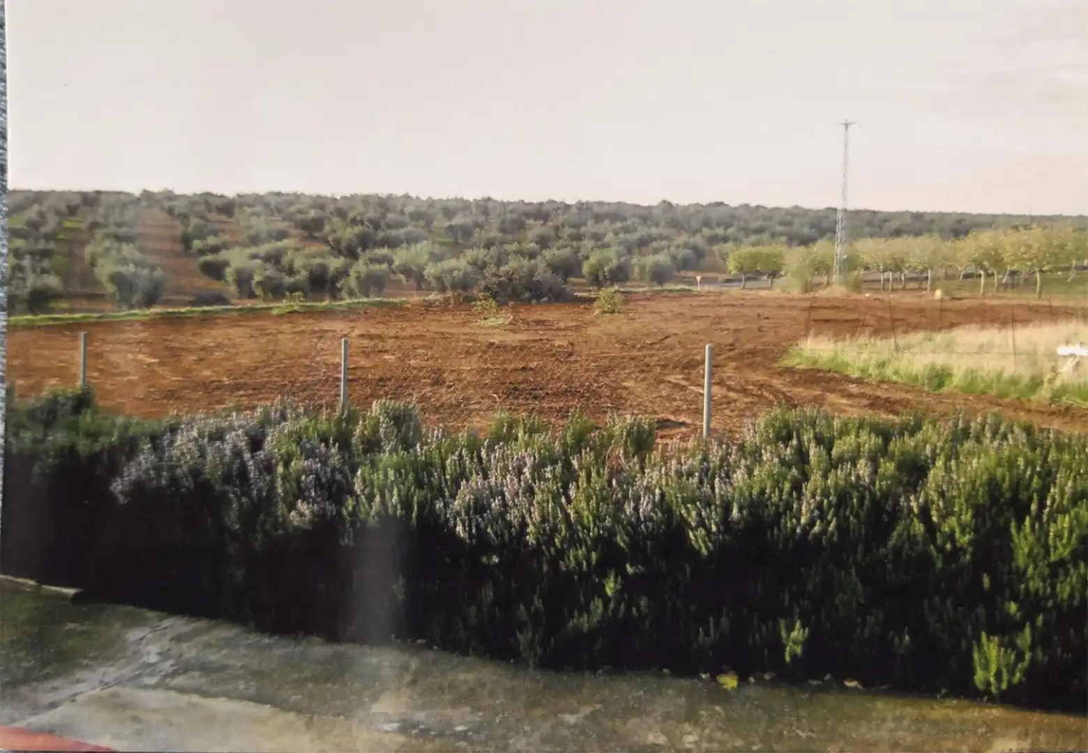 Finca rústica en venta en Cristina