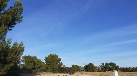 Foto 4 de Finca rústica en venda a Diseminado Peñas Blancas, 12, Jumilla, Murcia