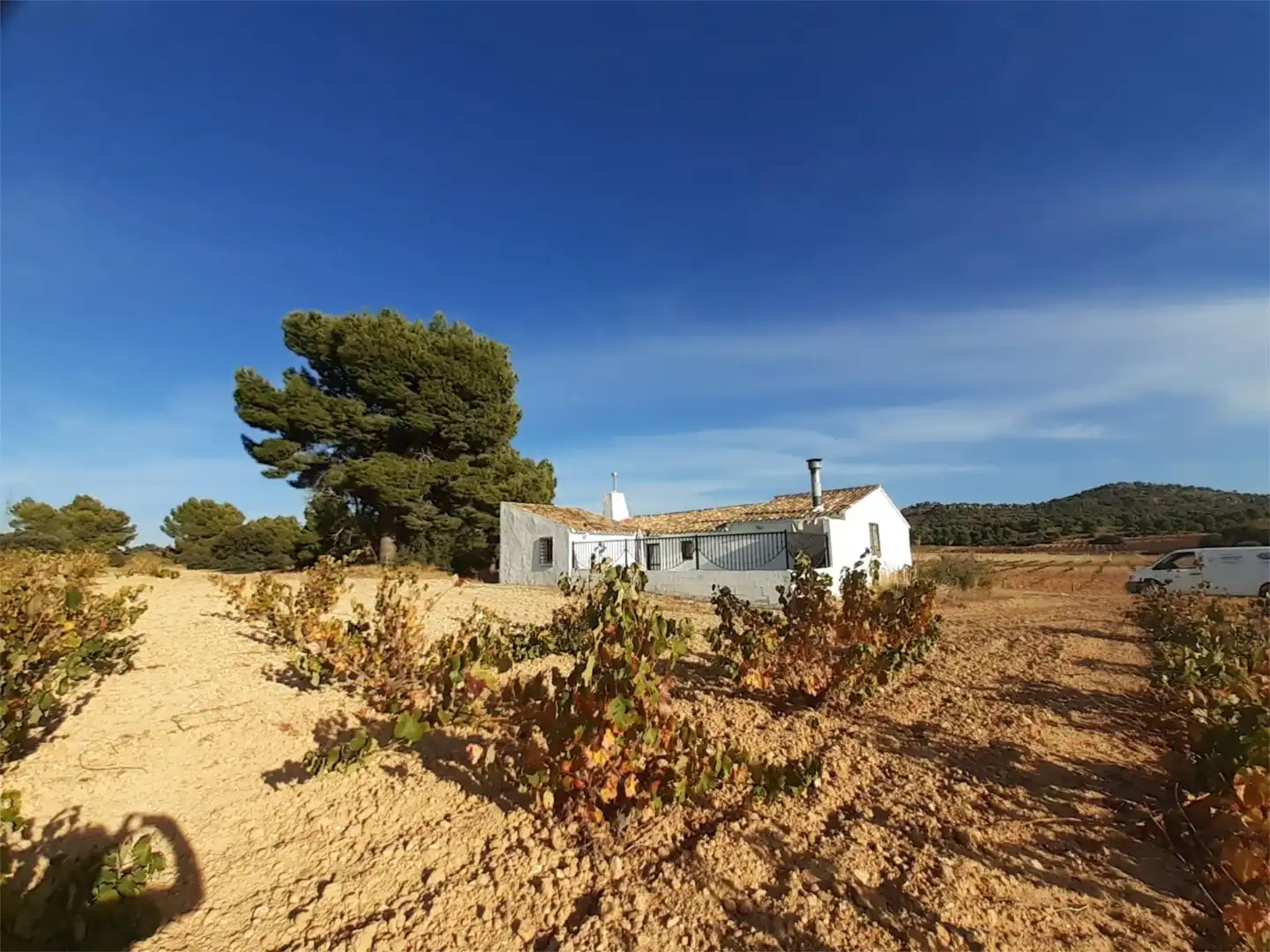 Vista exterior de Finca rústica en venda en Jumilla amb Terrassa