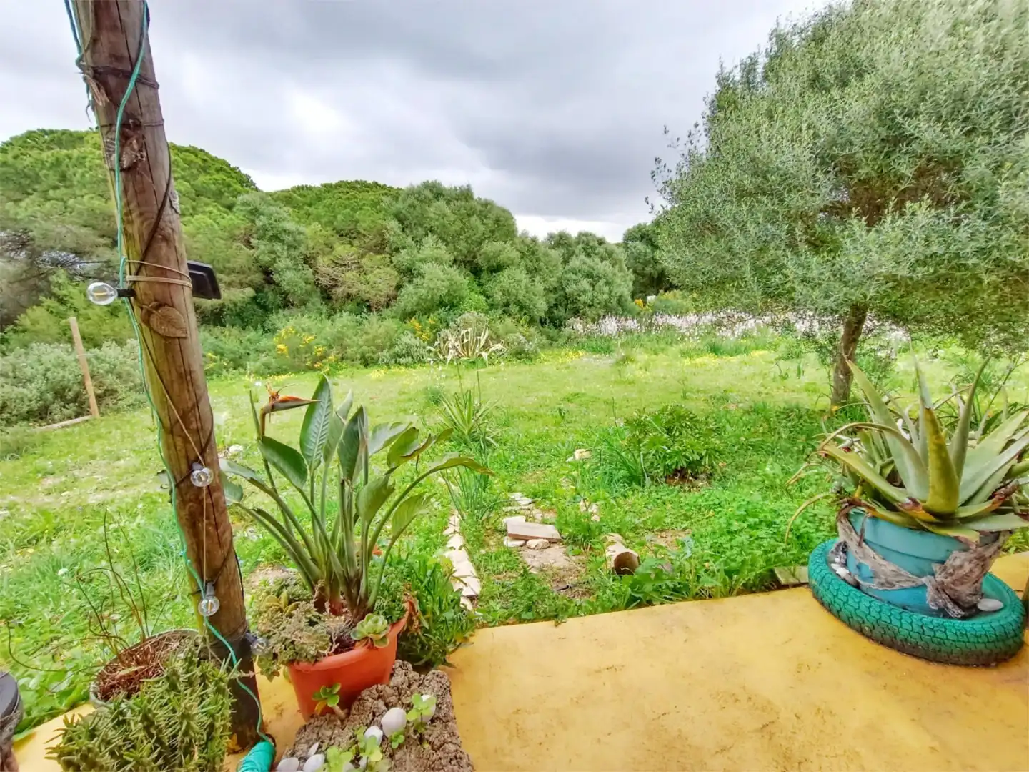Land for sale in Calle Héroes de Trafalgar, 78, Vejer Garden of Land for sale in Vejer de la Frontera