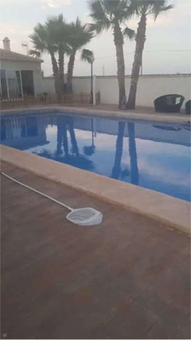 Detached homes for rent in Reina Victoria - Miguel Hernández Swimming pool of Detached homes for rent in Elche / Elx with Terrace and Swimming Pool