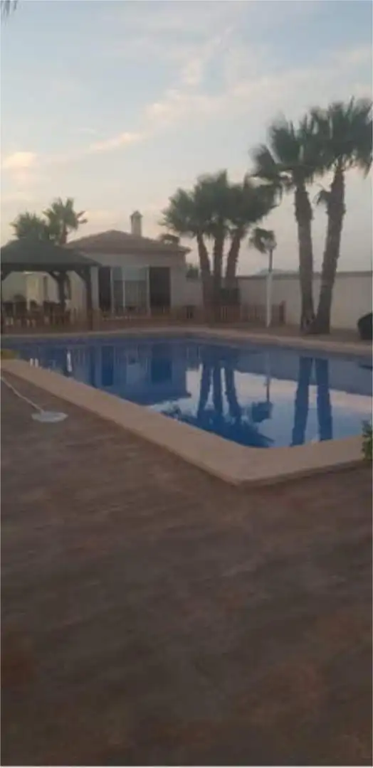 Detached homes for rent in Reina Victoria - Miguel Hernández Swimming pool of Detached homes for rent in Elche / Elx with Terrace and Swimming Pool