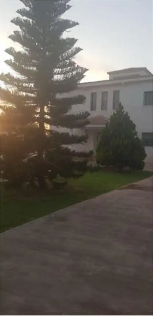 Detached homes for rent in Reina Victoria - Miguel Hernández Garden of Detached homes for rent in Elche / Elx with Terrace and Swimming Pool