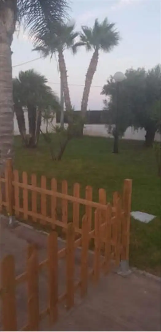 Detached homes for rent in Reina Victoria - Miguel Hernández Garden of Detached homes for rent in Elche / Elx with Terrace and Swimming Pool