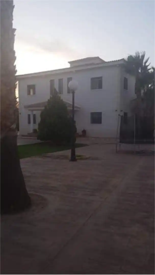 Detached homes for rent in Reina Victoria - Miguel Hernández Garden of Detached homes for rent in Elche / Elx with Terrace and Swimming Pool