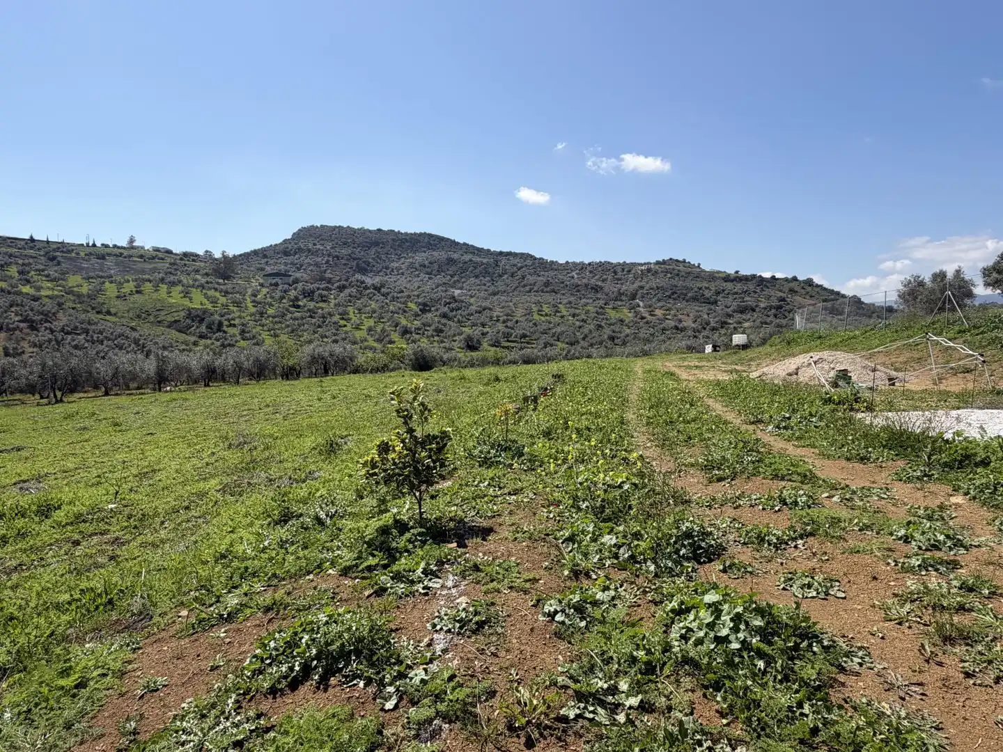 Country homes for sale in Calle Carril de las Casillas, 2, Viñuela Country homes for sale in Viñuela with Terrace and Swimming Pool