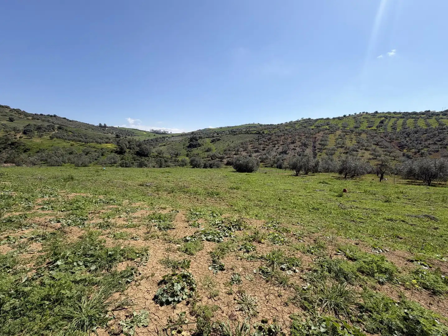 Country homes for sale in Calle Carril de las Casillas, 2, Viñuela Country homes for sale in Viñuela with Terrace and Swimming Pool