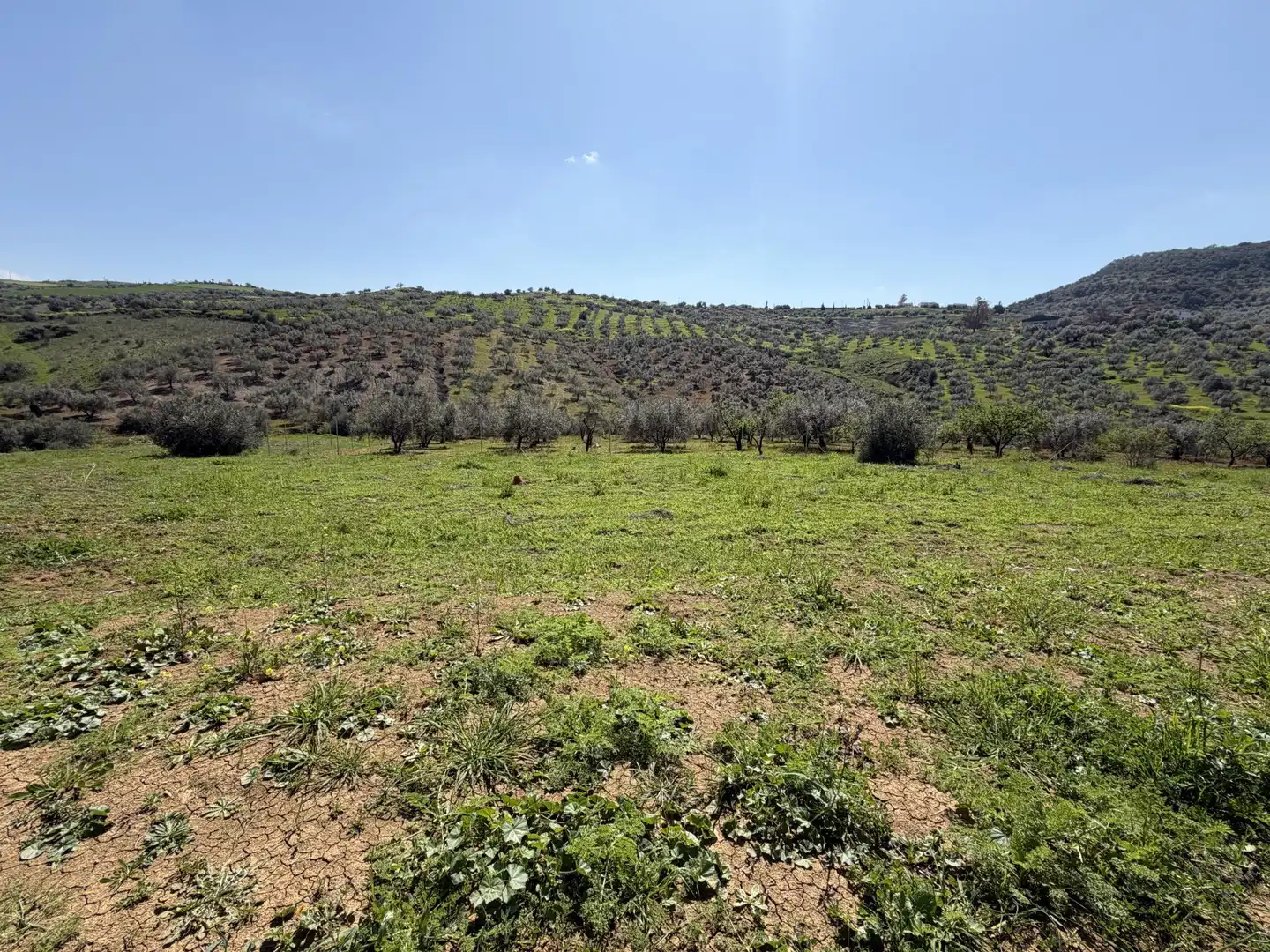 Country homes for sale in Calle Carril de las Casillas, 2, Viñuela Country homes for sale in Viñuela with Terrace and Swimming Pool