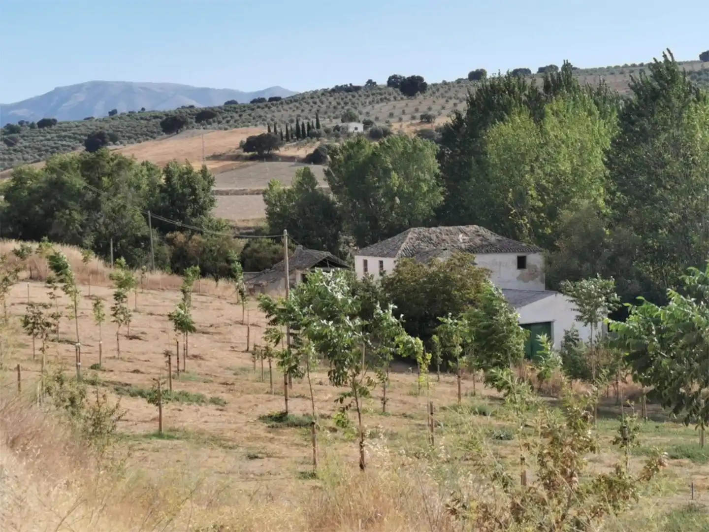 Finca rústica en venda a Calle Carretera, 20, Santa Cruz del Comercio Vista exterior de Finca rústica en venda en Santa Cruz del Comercio
