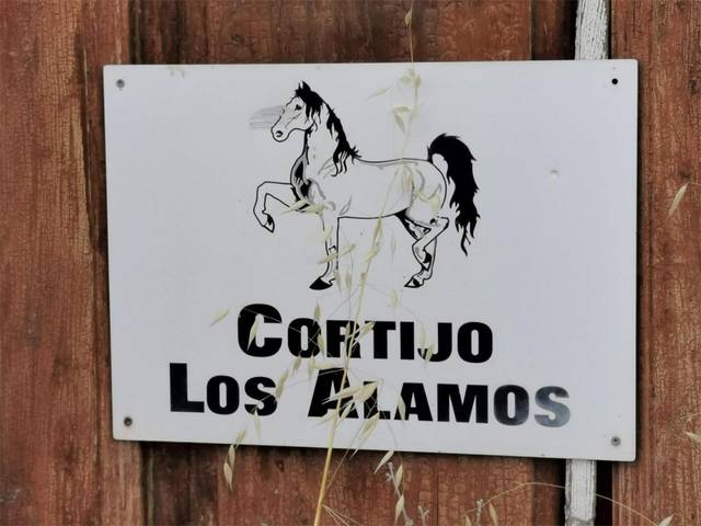 Finca rústica en Venta en Calle Carretera, 20 en Santa Cruz del Comercio