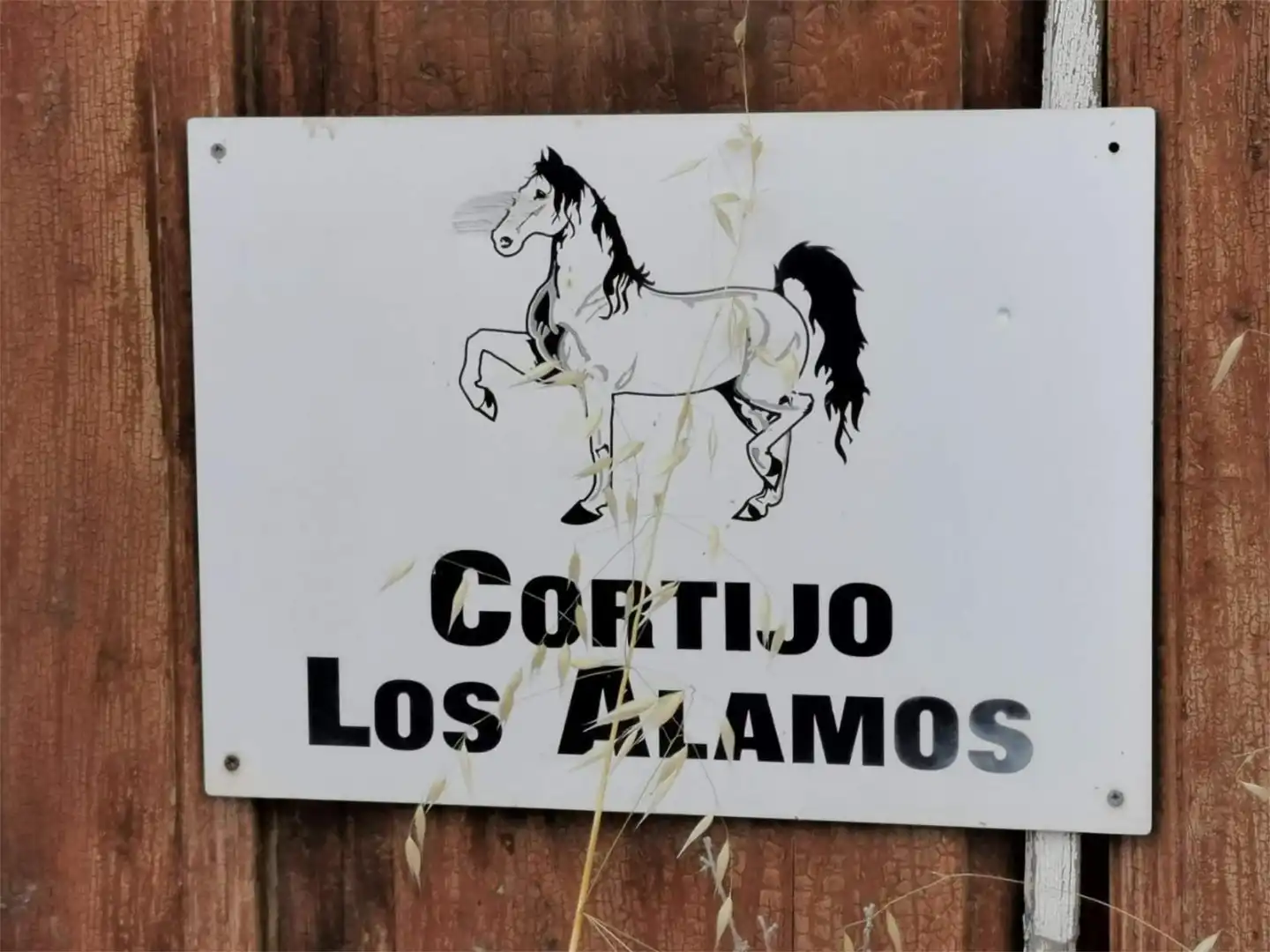 Finca rústica en venta en Santa Cruz del Comercio