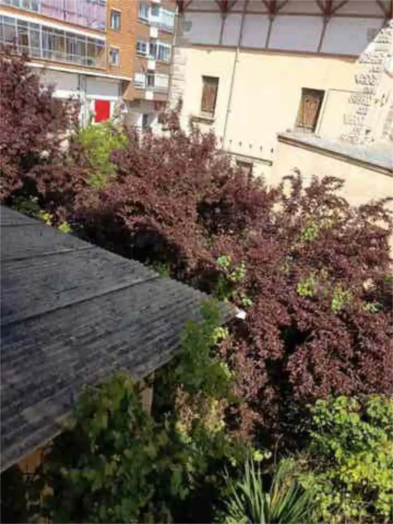 Garden of Detached homes for sale in Briviesca
