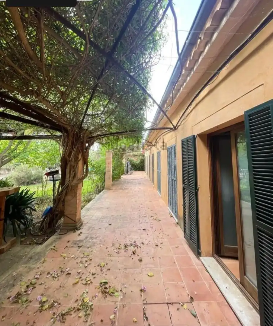 Jardí de Casa o xalet en venda en Sencelles