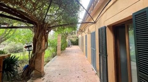 Casa o xalet en venda a Diseminado Pol. 4, 152, Sencelles, Illes Balears - imatge 5 Foto 5 de Casa o xalet en venda a Diseminado Pol. 4, 152, Sencelles, Illes Balears