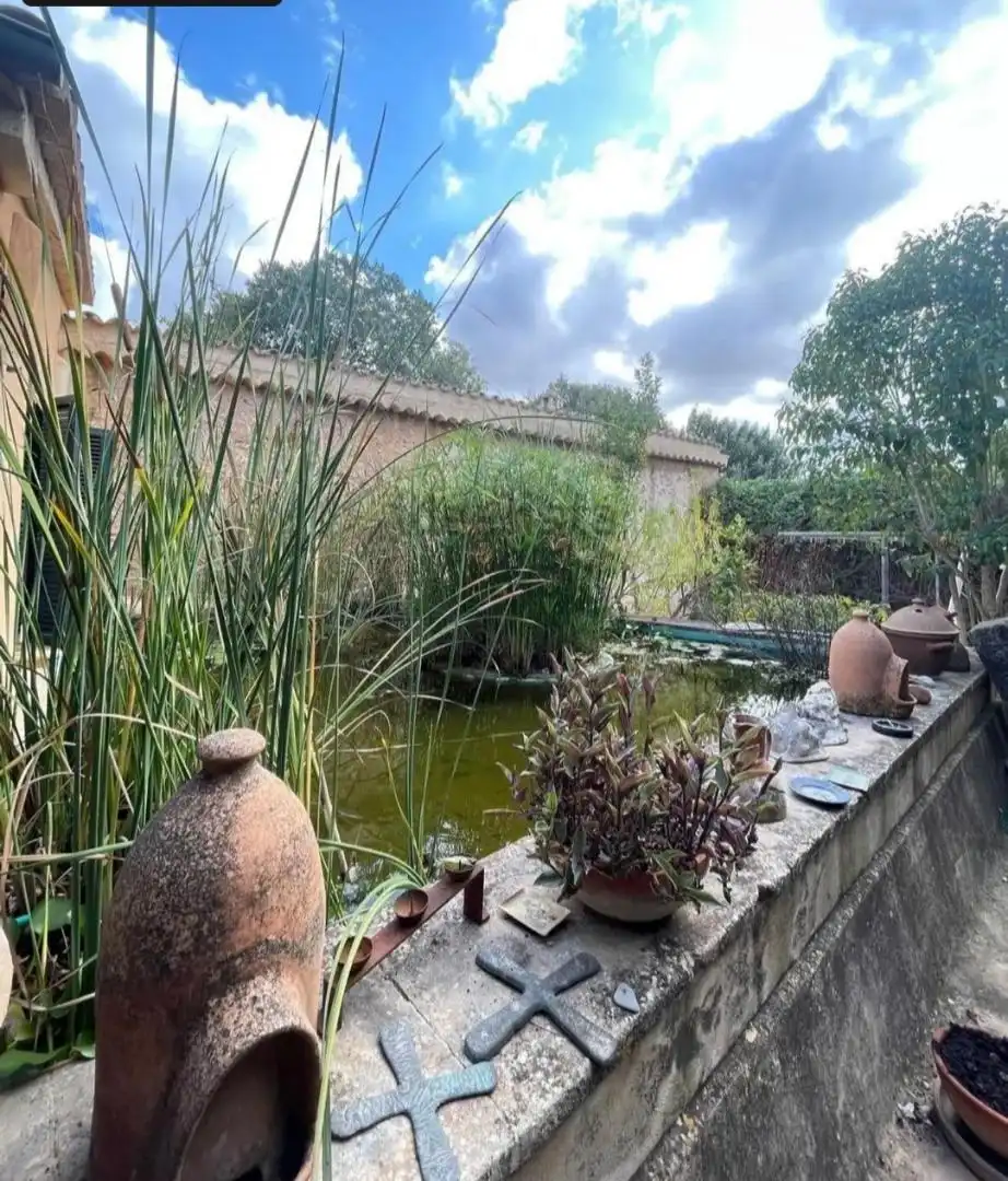 Jardí de Casa o xalet en venda en Sencelles