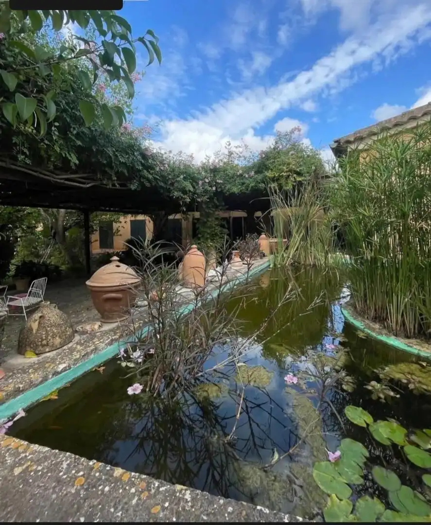 Jardí de Casa o xalet en venda en Sencelles