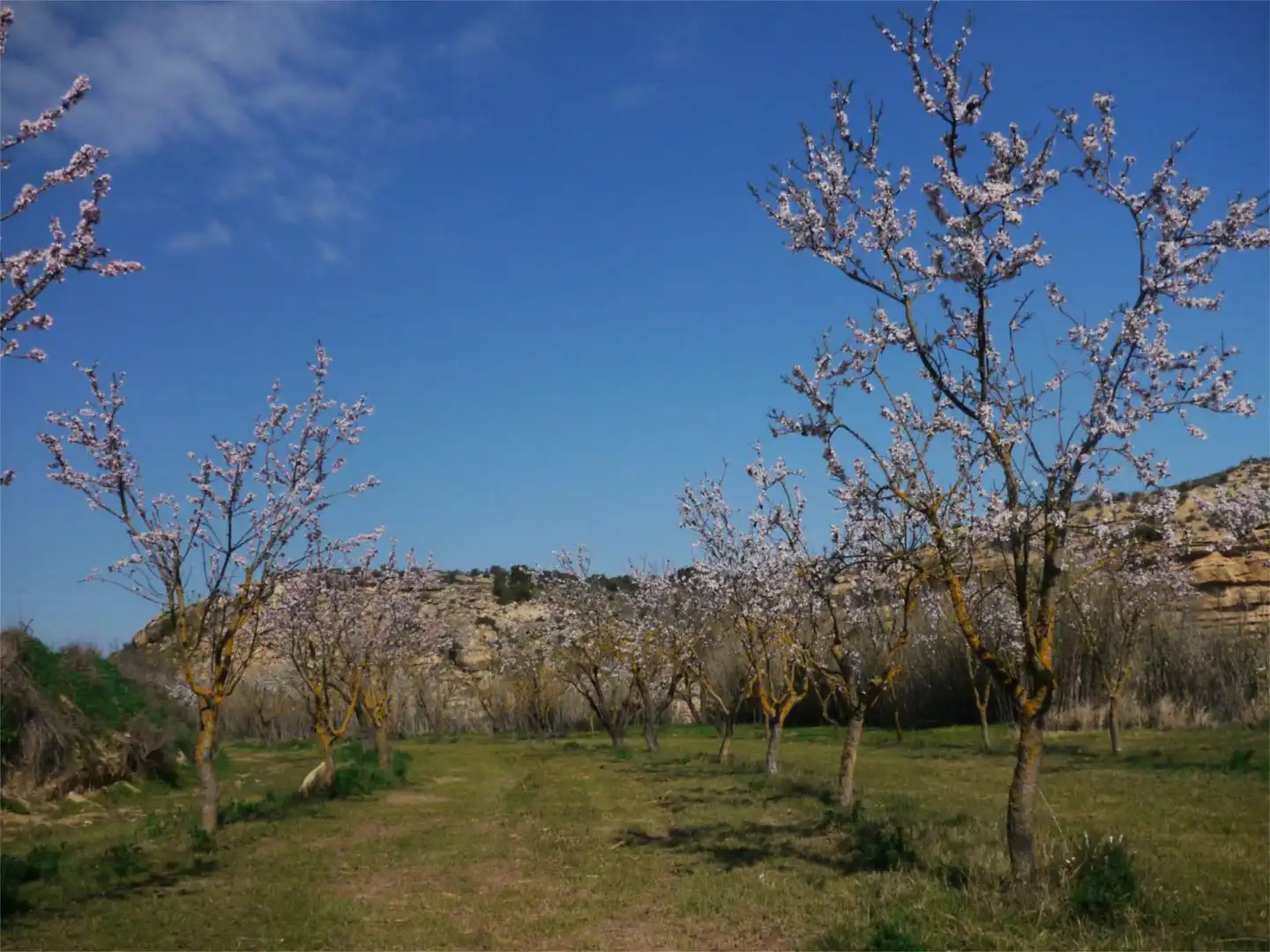 Finca rústica en venda a Huerta Zaragoceta, Caspe Finca rústica en venda en Caspe amb Calefacció, Jardí privat i Terrassa