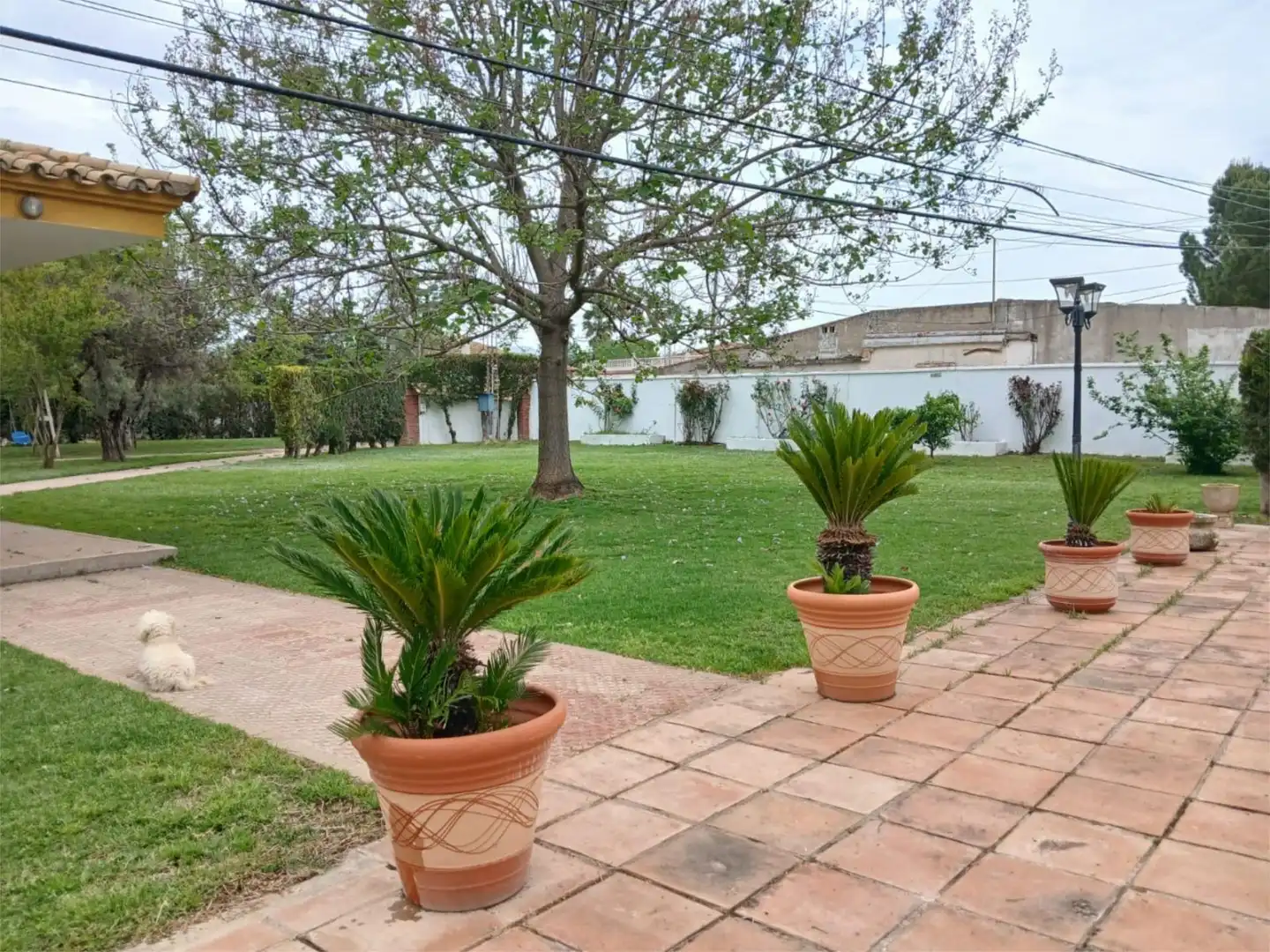Houses for sale in Cortijo el Rubio, 14, El Higuerón Garden of Houses for sale in Córdoba with Air Conditioner, Heating and Private garden