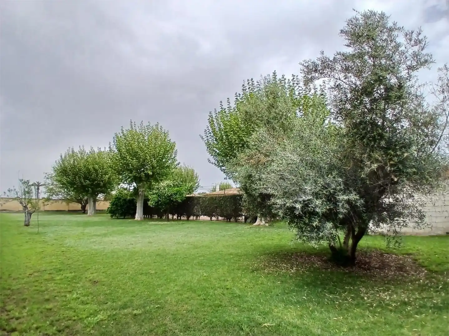 Houses for sale in Cortijo el Rubio, 14, El Higuerón Houses for sale in Córdoba with Air Conditioner, Heating and Private garden
