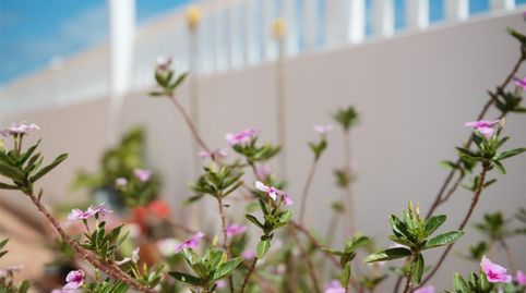 Foto 5 von Wohnung zum Verkauf in Calle el Timple, 10, Costa Teguise, Teguise