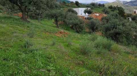 Foto 5 de Finca rústica en venta en El Rescate - Río Seco, Almuñécar