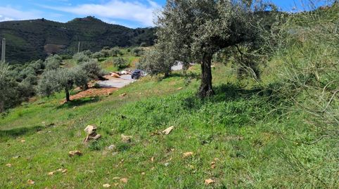 Foto 3 de Finca rústica en venta en El Rescate - Río Seco, Almuñécar