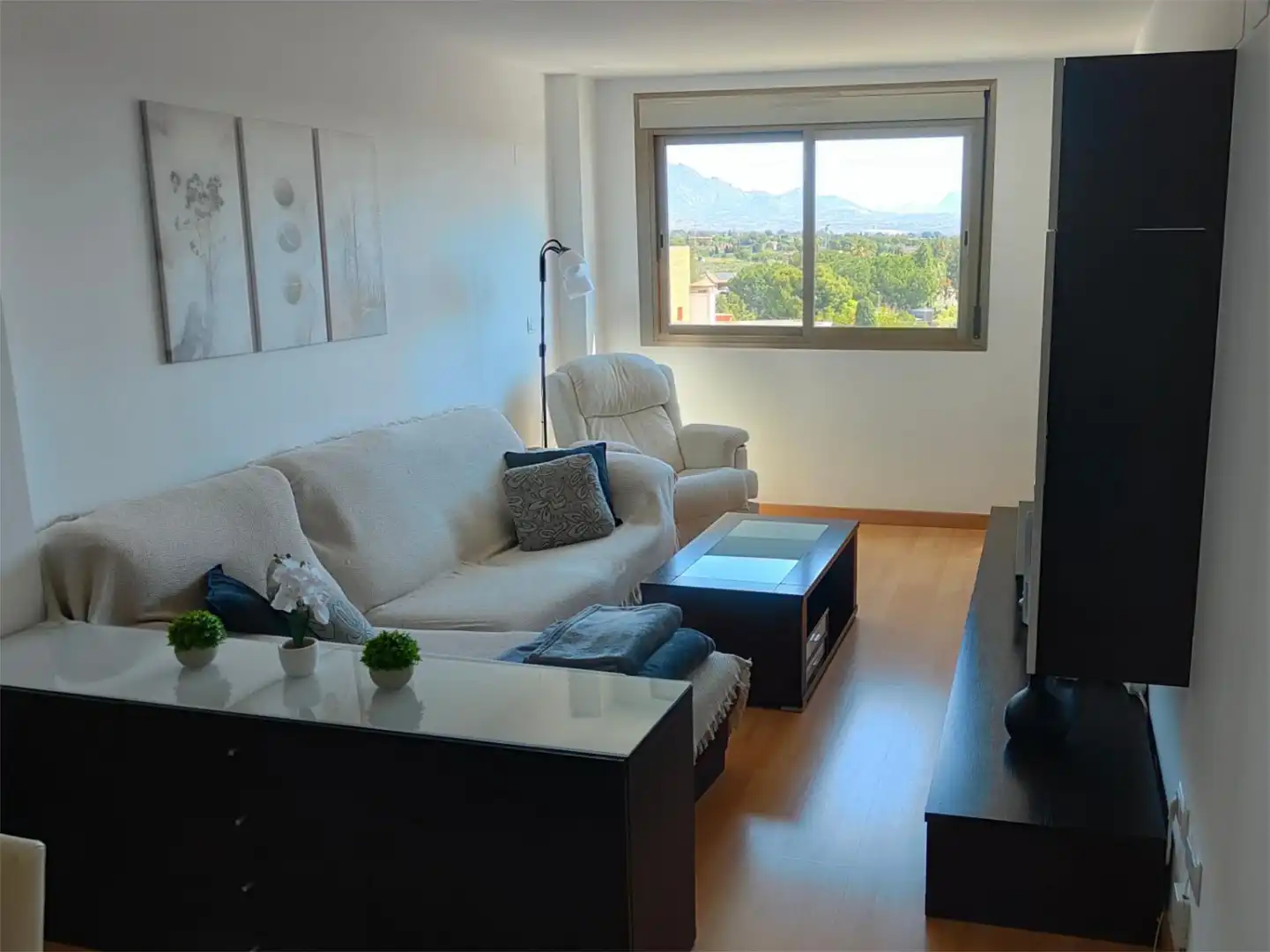Flat for rent in Avinguda Ancha de Castelar, 186, Norte Living room of Flat for rent in San Vicente del Raspeig / Sant Vicent del Raspeig with Air Conditioner, Heating and Parquet flooring