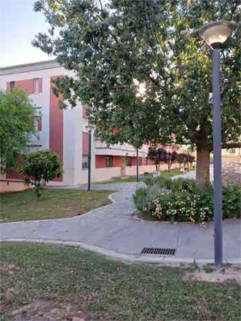 Flat for sale in Aljamar Exterior view of Flat for sale in Tomares with Heating, Private garden and Terrace
