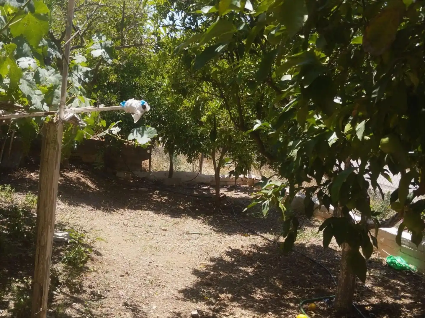 Piso en venta en Diseminado Diseminados, 718, Almogía Piso en venta en Almogía con Jardín privado, Terraza y Amueblado