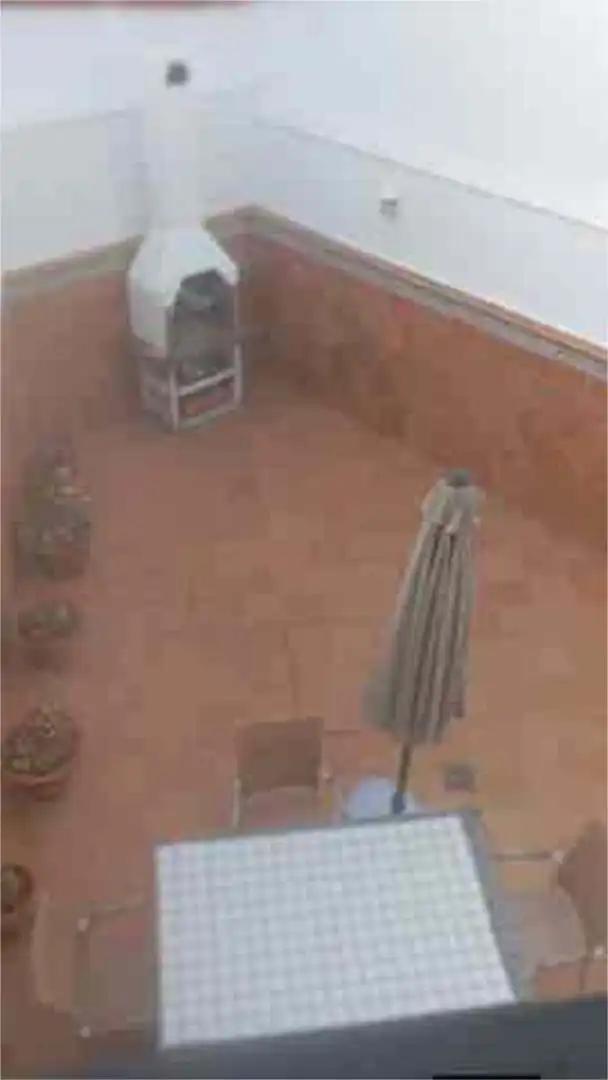 Jardín de Casa o chalet en venta en Pedro Abad