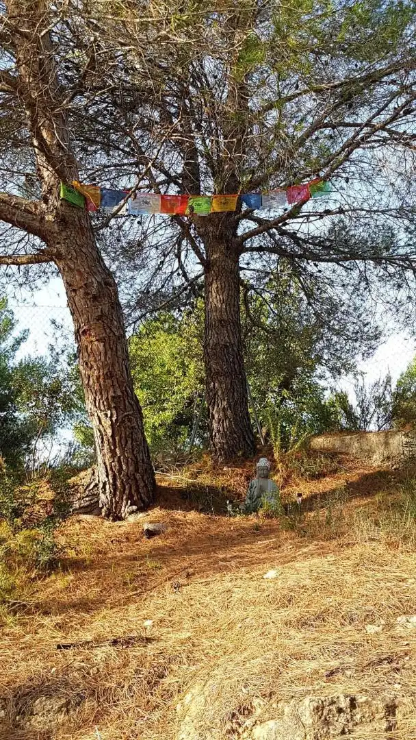 Casa o xalet en venda a Cv-381, 8, Cheste Jardí de Casa o xalet en venda en Cheste amb Terrassa i Piscina