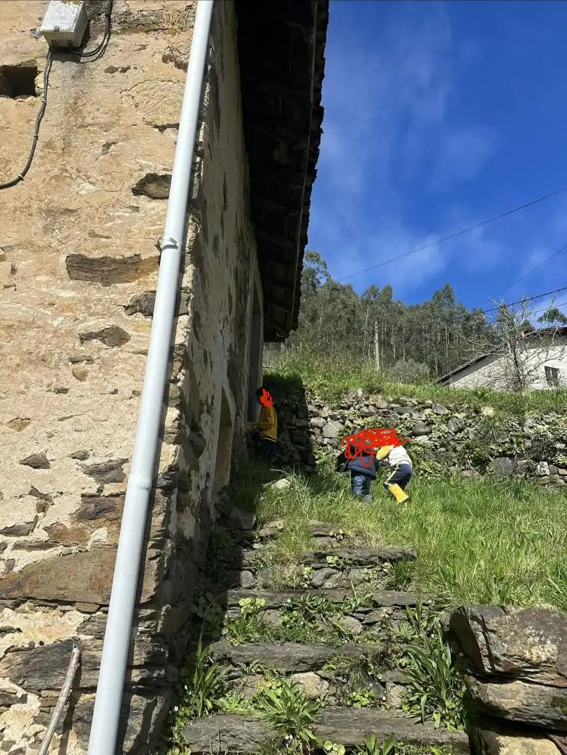 Finca rústica en venda a Camín de Pramaro, 230, Cudillero Vista exterior de Finca rústica en venda en Cudillero